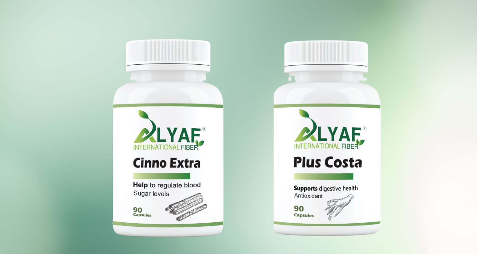 المركز الداعم